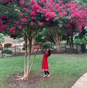 Meet your Posher, Vasantha